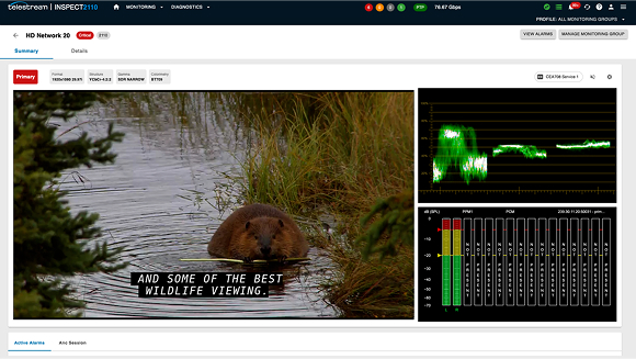 in-depth video editing software with chart monitoring
