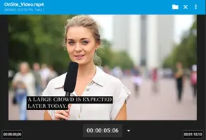 Stanza/Captions Support