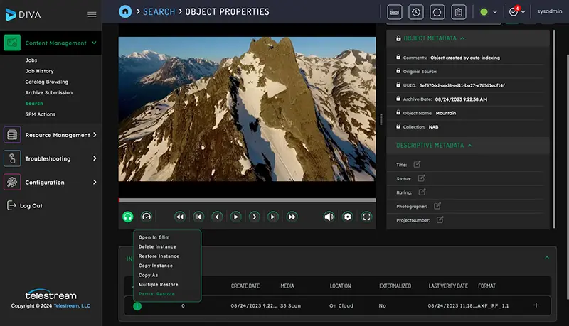 diva 9-1 object properties screen capture