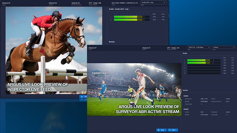 argus screen live look software