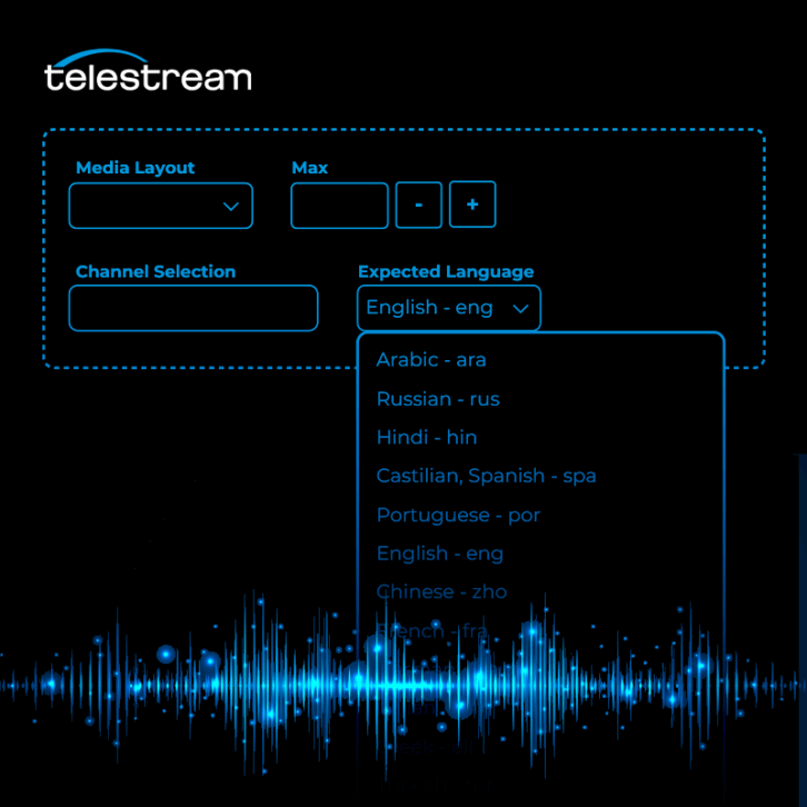 qualify language selector screen capture